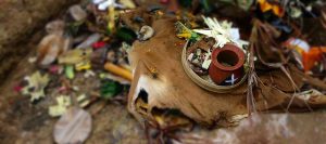 Upacara Bhuta Yadnya (Caru)
